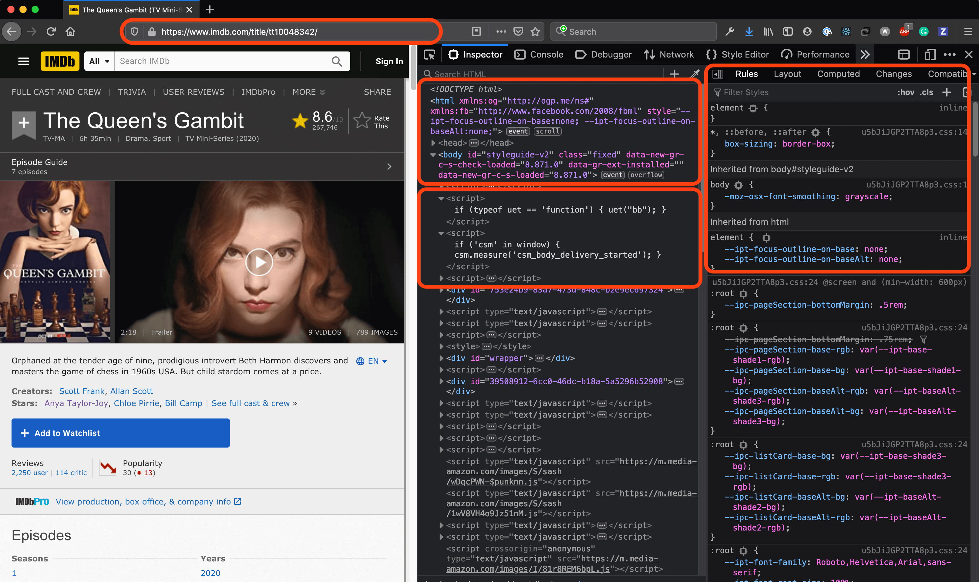 An example of a browser's developer tools